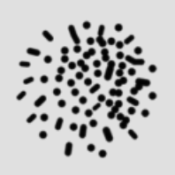 Neweb AI Neweb AI